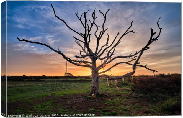 The Wishing Tree St Helens Canvas Print by Wight Landscapes