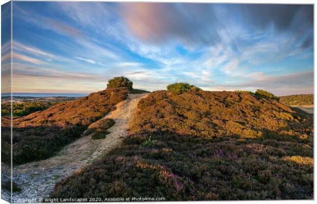 Headon Hill Barrow Canvas Print by Wight Landscapes