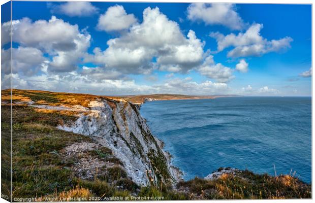 Tennyson Viewpoint Canvas Print by Wight Landscapes