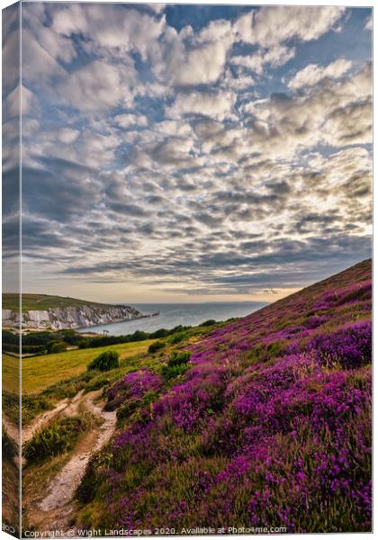 Headon Hill And The Needles Canvas Print by Wight Landscapes