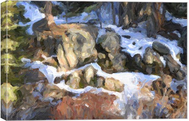Big Bear Rocks Canvas Print by Michael Dorsey