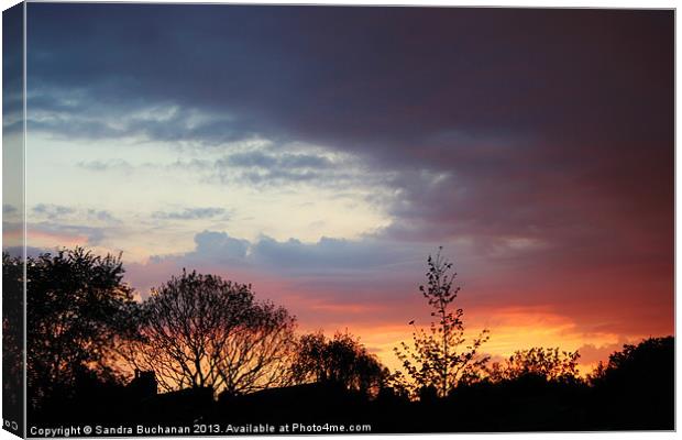 Sunset Canvas Print by Sandra Buchanan