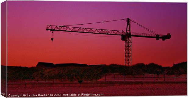 Crane At Sunset Canvas Print by Sandra Buchanan