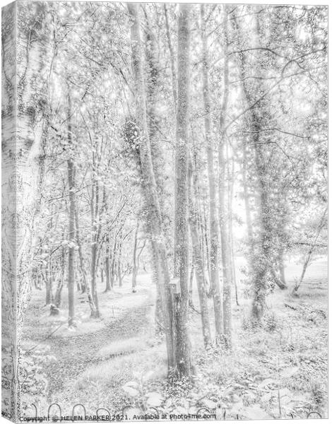 Trees in a forest Canvas Print by HELEN PARKER