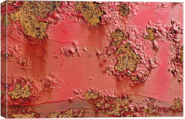 RUST IN RED Canvas Print by HELEN PARKER