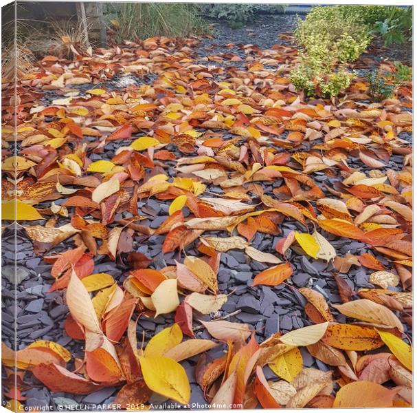 Autumn Leaves of colour  Canvas Print by HELEN PARKER