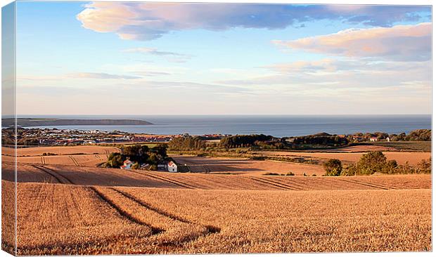 Overlooking Filey Canvas Print by David Hollingworth