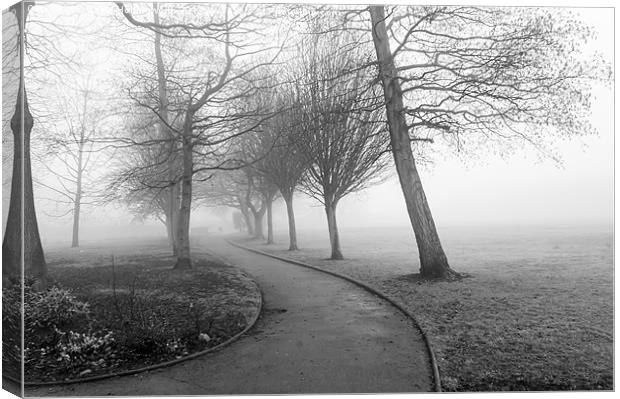 One Foggy Morning Canvas Print by David Hollingworth