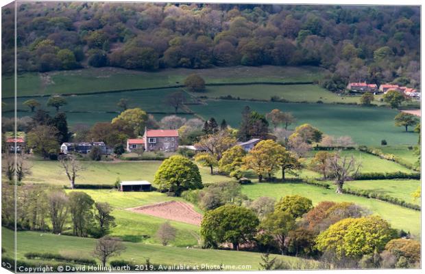 Looking Above The Esk Valley Canvas Print by David Hollingworth