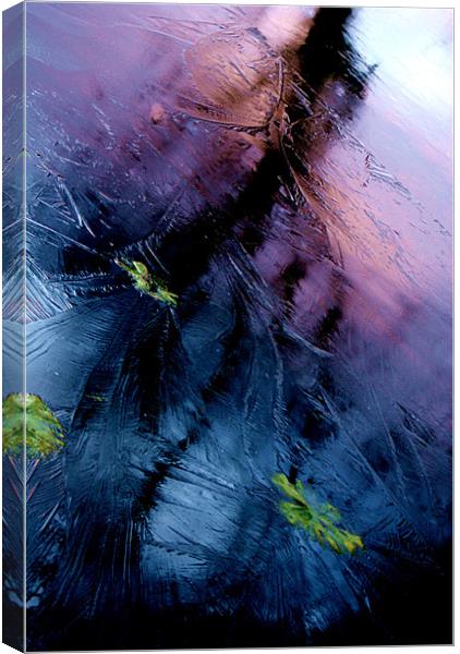 Purple Sky Lake Canvas Print by Daniel Fellowes