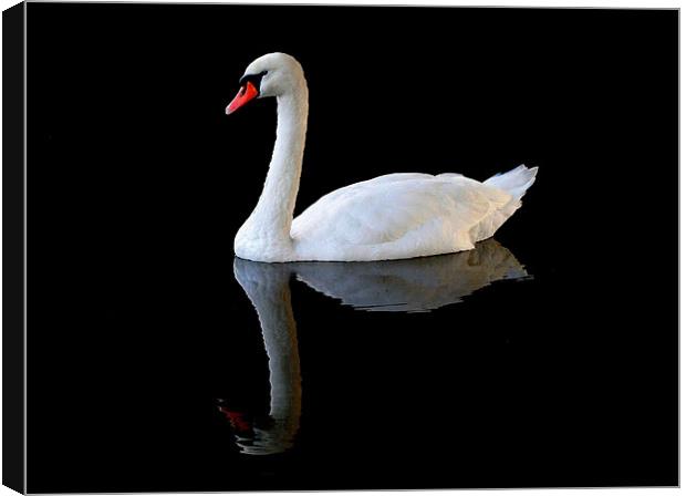 On Reflection Canvas Print by Dave Burden