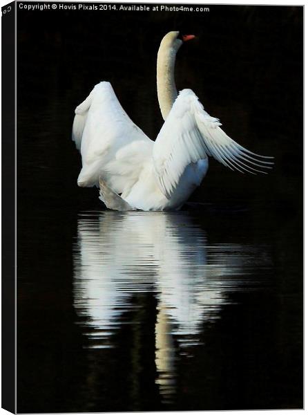  Reflections Canvas Print by Dave Burden