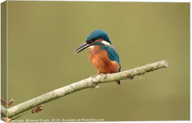 The Fisherman Canvas Print by Dave Burden