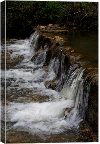 Falls On Masons Creek Canvas Print by Graham Palmer