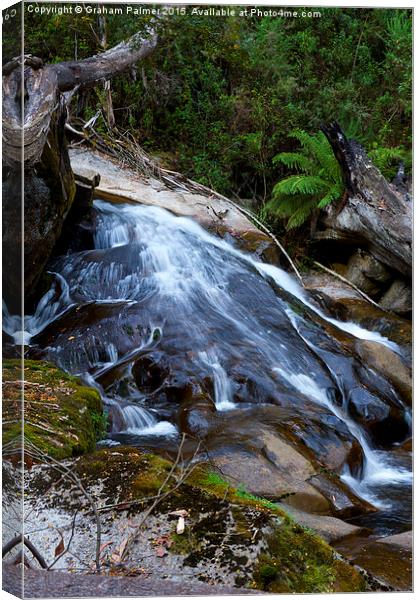  Taggerty Cascades #2 Canvas Print by Graham Palmer