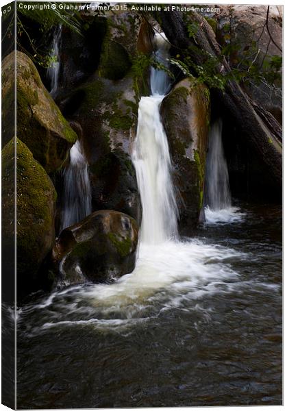  Taggerty Cascades #5 Canvas Print by Graham Palmer