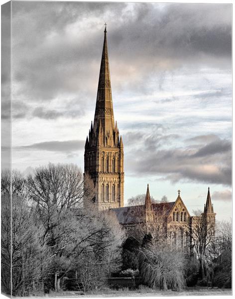 Salisbury Cathedral Canvas Print by