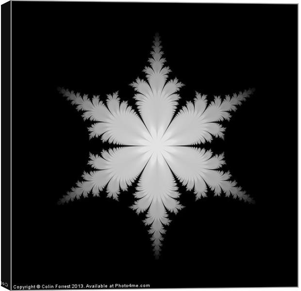 Fractal Snowflake Canvas Print by Colin Forrest