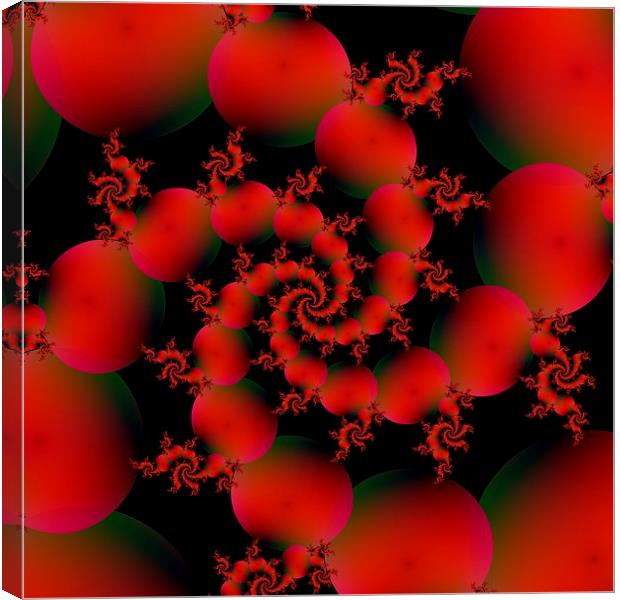Tomato Spiral Canvas Print by Colin Forrest