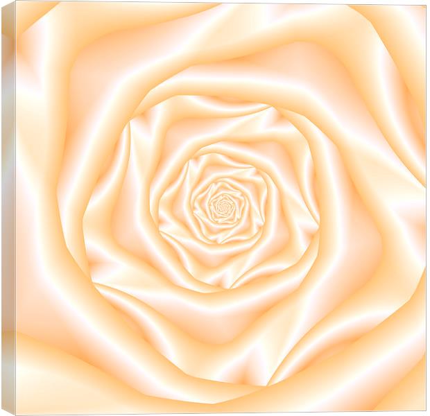 Pale Peach Spiral Rose Canvas Print by Colin Forrest