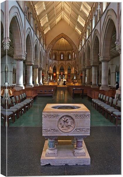 Cathedral of Saint Andrew Canvas Print by David Davies
