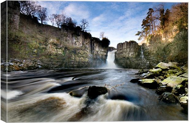 High Force Canvas Print by Dave Hudspeth Landscape Photography
