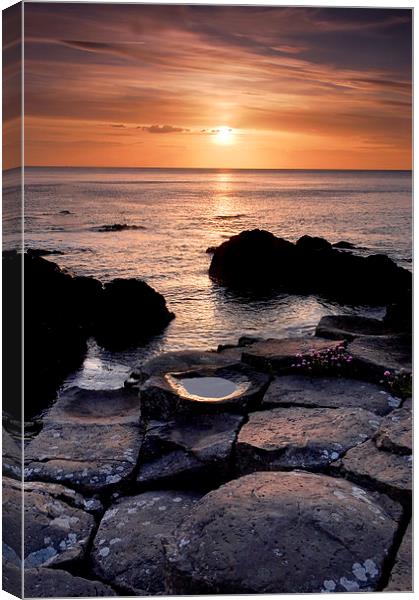 The Giants Causeway Canvas Print by Dave Hudspeth Landscape Photography