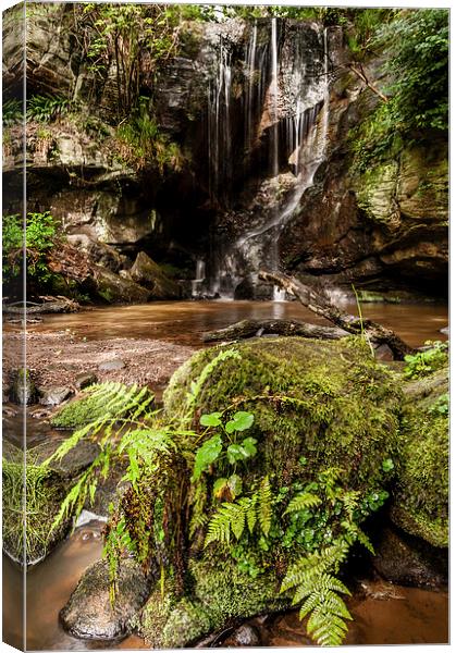  The Waterfall Canvas Print by Dave Hudspeth Landscape Photography