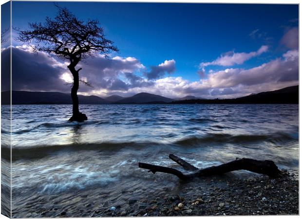  Loch Lomond, Scotland Canvas Print by Dave Hudspeth Landscape Photography