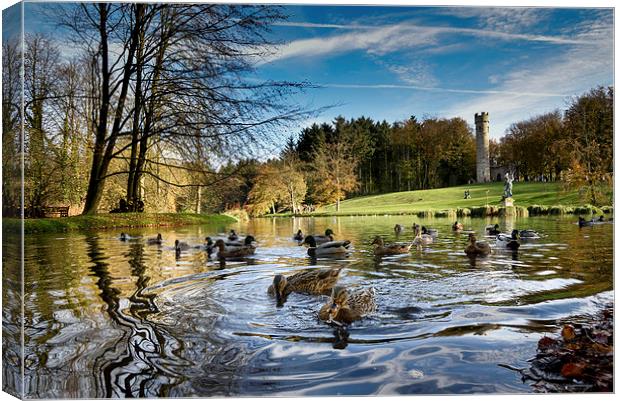  Quackers Canvas Print by Dave Hudspeth Landscape Photography