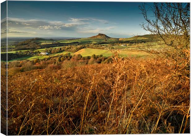  Roseberry Topping Canvas Print by Dave Hudspeth Landscape Photography