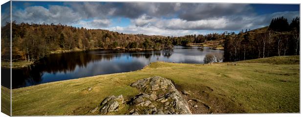 Tarn Hows, Cumbria Panoramic Canvas Print by Dave Hudspeth Landscape Photography