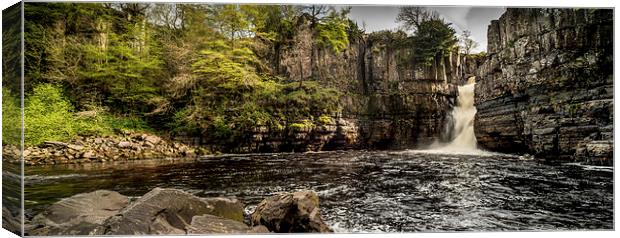 High Force Waterfall Canvas Print by Dave Hudspeth Landscape Photography