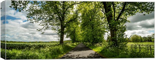 The Roman Road Canvas Print by Dave Hudspeth Landscape Photography