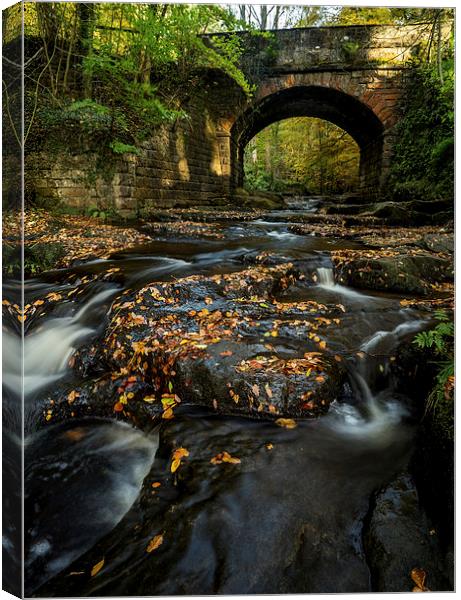 Maybeck Bridge, North Yorkshire Canvas Print by Dave Hudspeth Landscape Photography