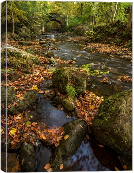 Maybeck Autumn Colours Canvas Print by Dave Hudspeth Landscape Photography