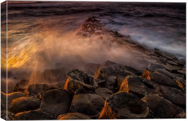 The Giants Causeway, Northern Ireland Canvas Print by Dave Hudspeth Landscape Photography