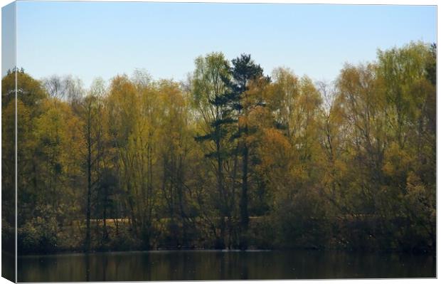 Woodland Across the Lake  Canvas Print by Jon Fixter