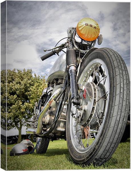 BSA Cafe Racer Canvas Print by Jon Fixter