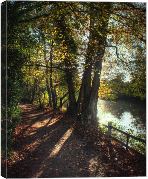 Autumn Pathway along the Lake Canvas Print by Jon Fixter