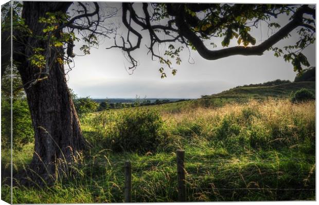 Lincolnshire Natures frame Canvas Print by Jon Fixter