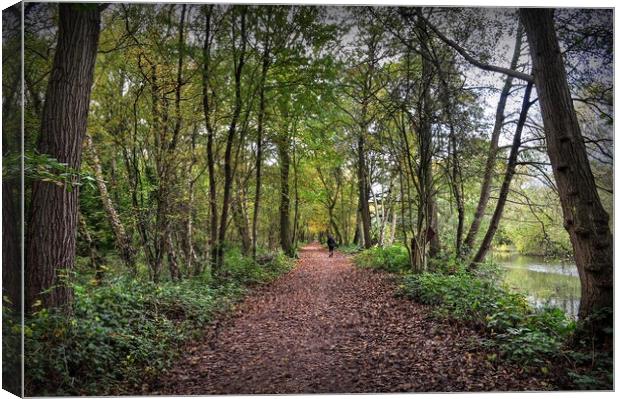 Natures Pathway  Canvas Print by Jon Fixter