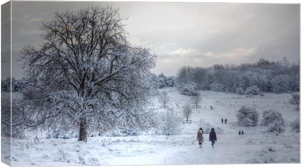 A winter's walk on the common  Canvas Print by Jon Fixter