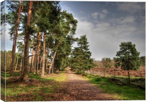 Out in the sunshine Canvas Print by Jon Fixter