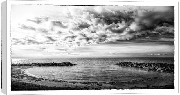 Oyster Bonchurch Beach Canvas Print by Ian Johnston  LRPS