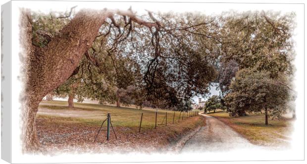 Driveway up to the house Canvas Print by Ian Johnston  LRPS