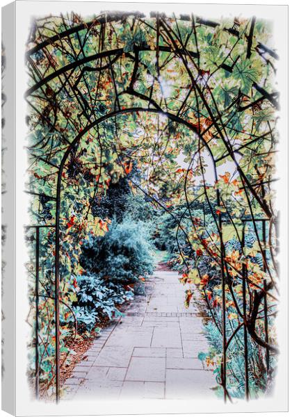 Through the arch and into the garden Canvas Print by Ian Johnston  LRPS