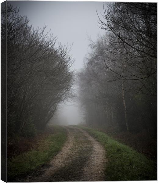 Foggy morning road Canvas Print by Ian Johnston  LRPS