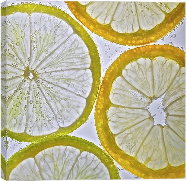 Lemon and Lime Canvas Print by Ian Johnston  LRPS
