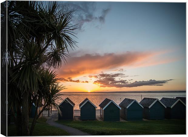 Last bit of sunshine at the end of the day Canvas Print by Ian Johnston  LRPS